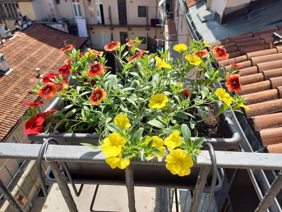 Appartamento Centralissimo Nel Cuore Del Quadrilatero Di Torino
