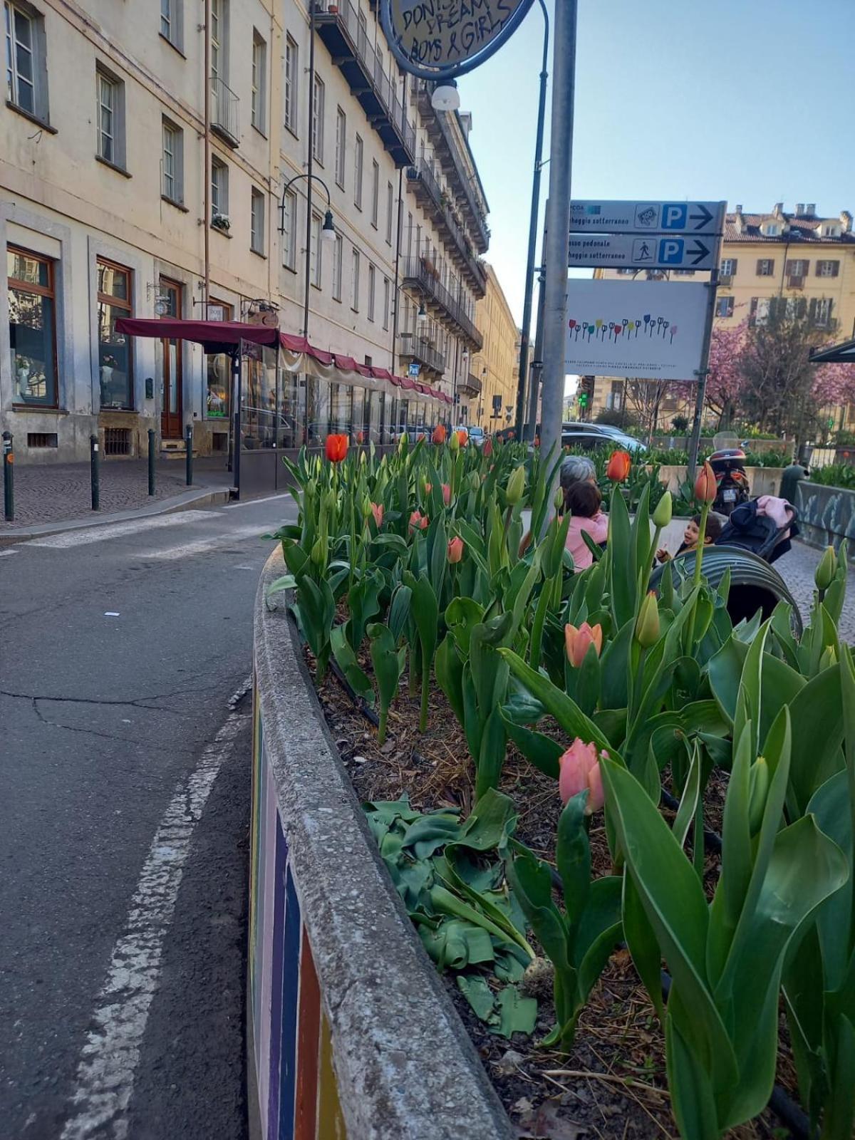 Centralissimo Nel Cuore Del Quadrilatero Di